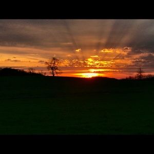 Meet your Posher, Heidi